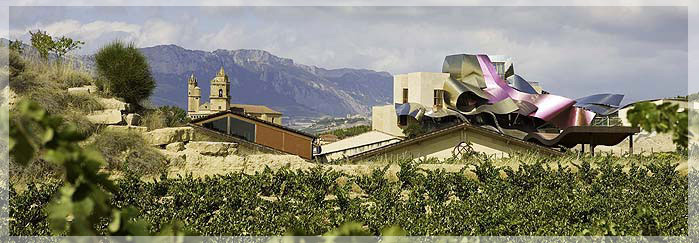 Bodega Frank Gehry